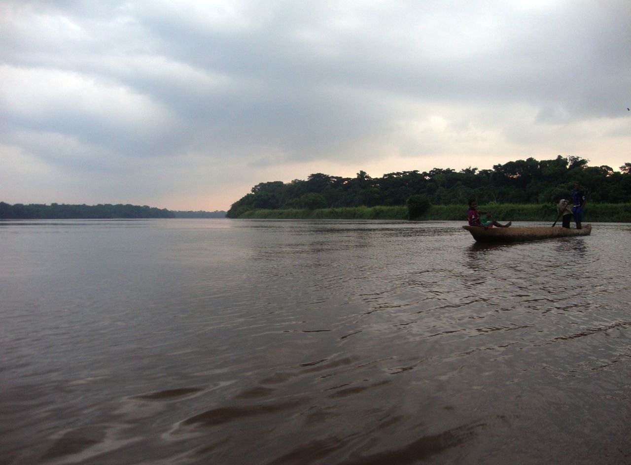 Tragédie Environnementale en RDC : La Rivière Tele, un Cours d’Eau en Péril