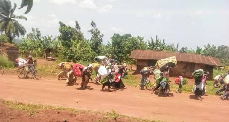 Horreur en RDC : Une vague de violence des ADF fait plus de 72 morts