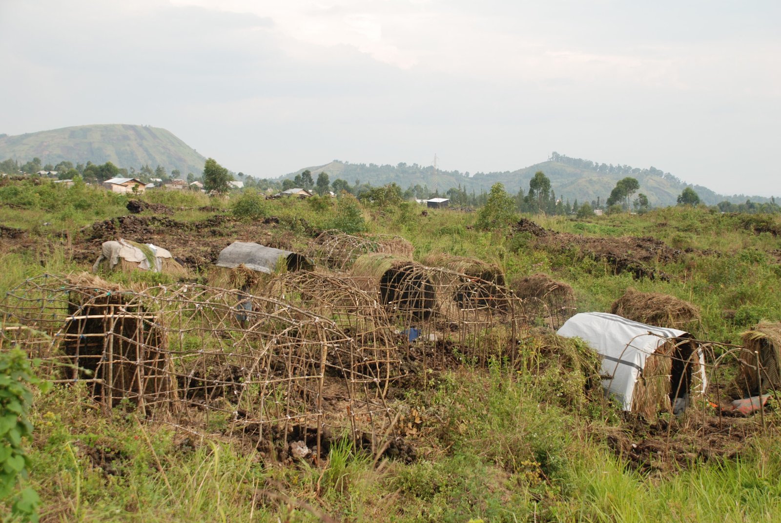 Nord-Kivu : les Wazalendo reprennent des villages au M23 à Masisi, malgré l’accord de paix RDC-Rwanda